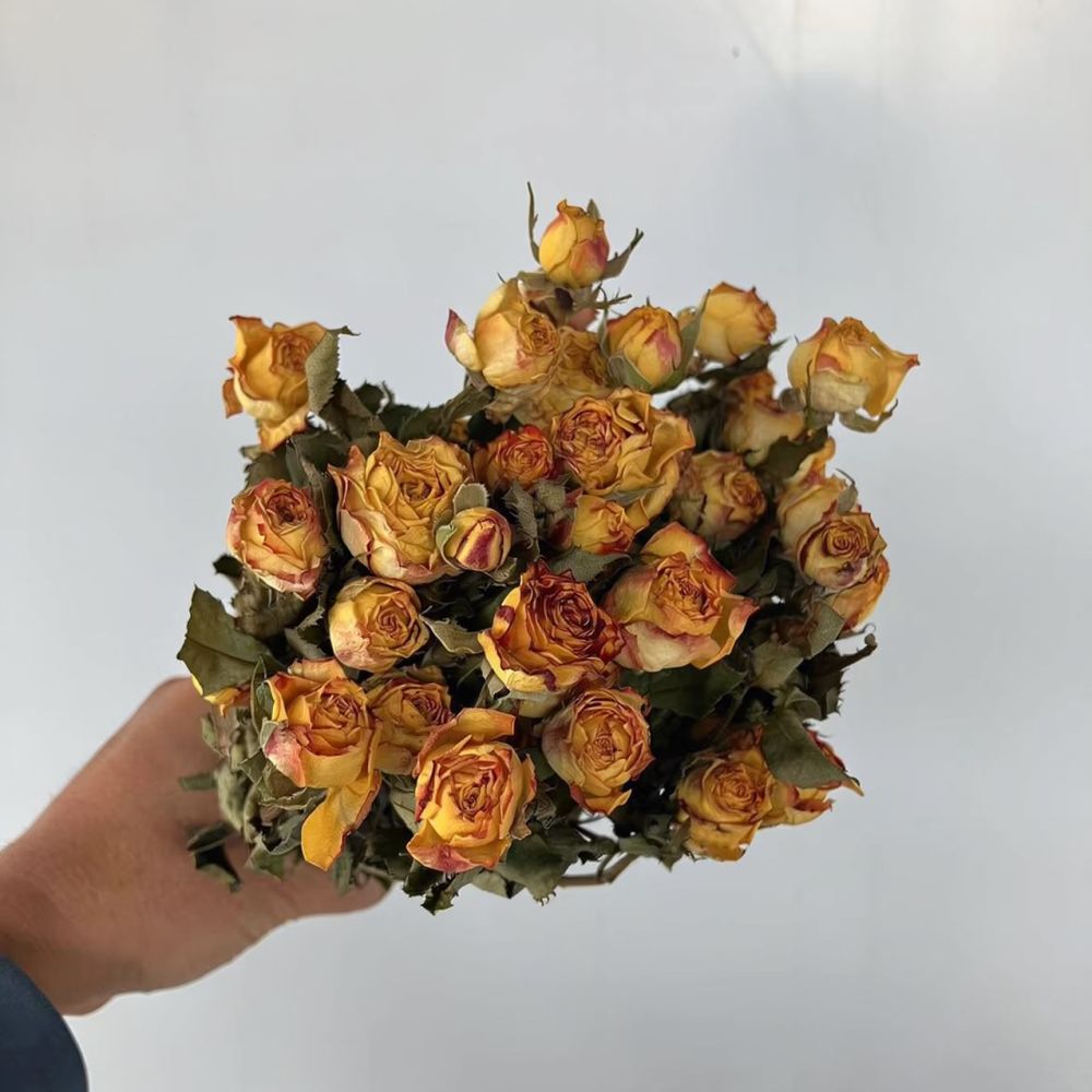Real Preserved Roses Dried Flo - огляд і ціна Resin Art Rose