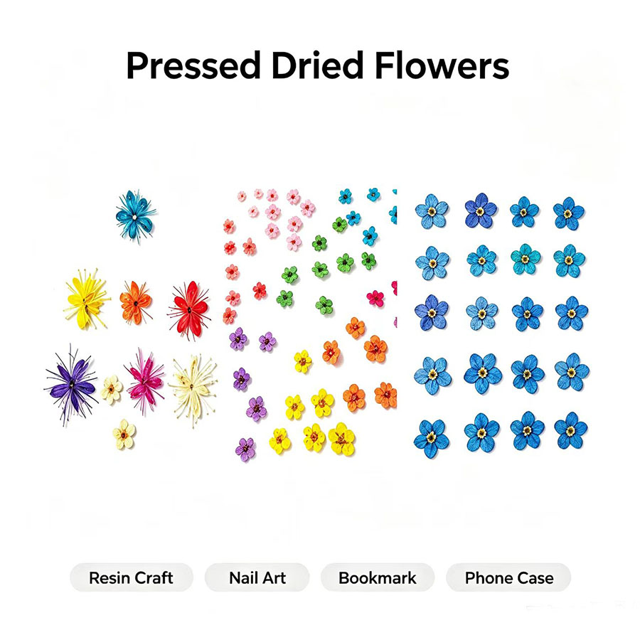 60pcs Mini Pressed Dried Flowe - огляд і ціна Resin Art Baby