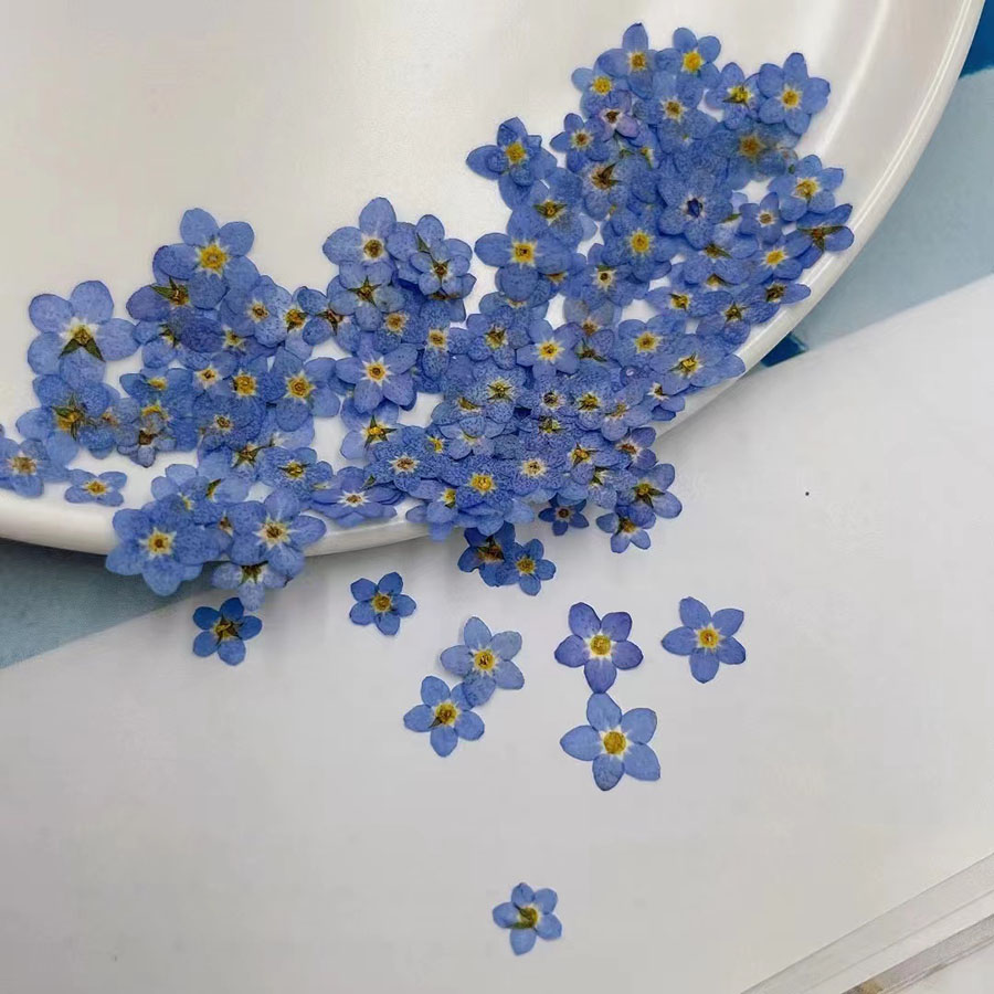 60pcs Mini Pressed Dried Flowe - огляд і ціна Resin Art Baby