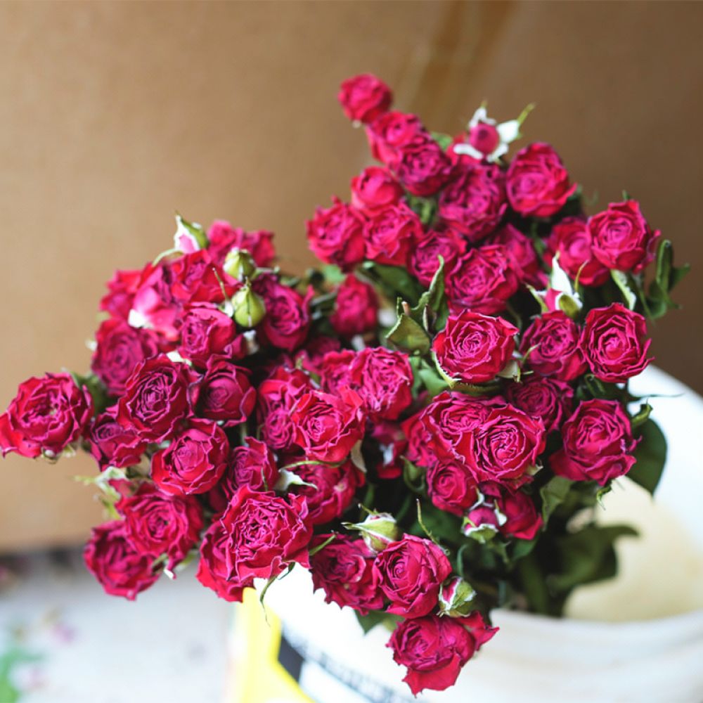 Natural Preserved Dried Rose F - огляд і ціна Resin Art Rose